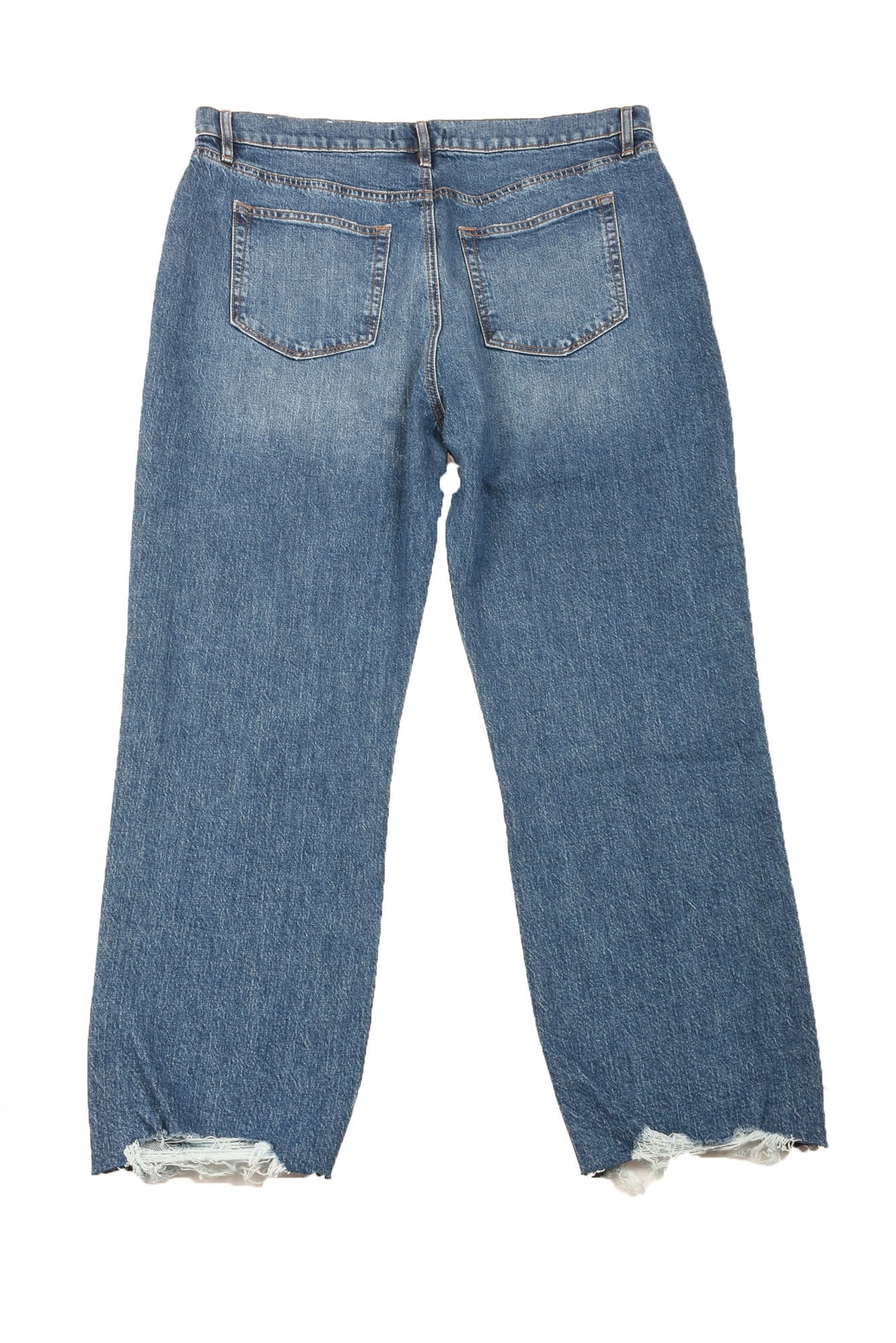 Loft Size 30/10 Women&#39;s Jeans