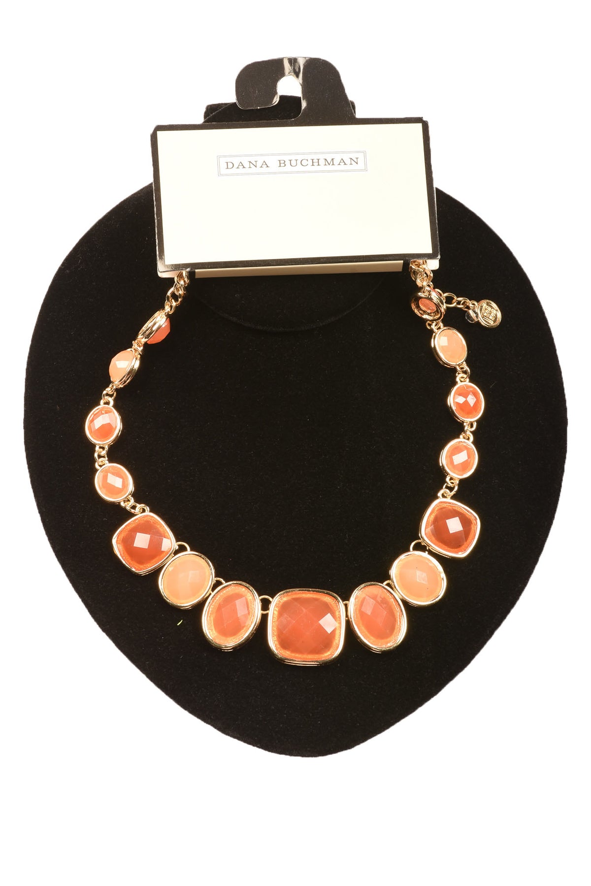 Dana Buchman Necklace