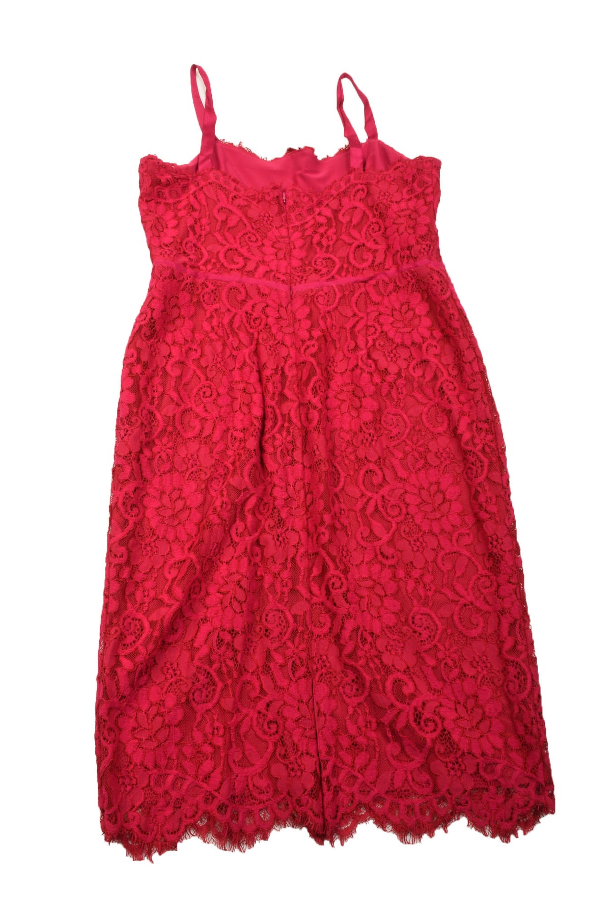 Lauren Ralph Lauren Size 14 Women&#39;s Dress